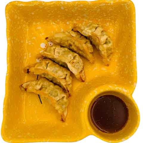 Chicken Gyoza